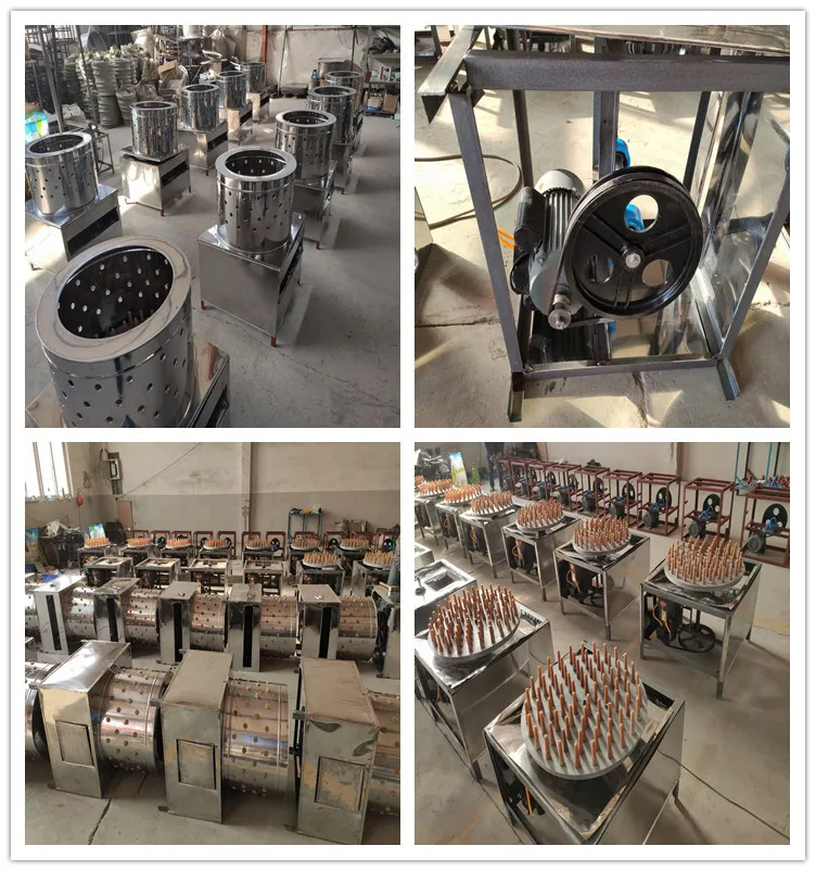 Poultry feather plucking machine chicken and poultry technology hair removal