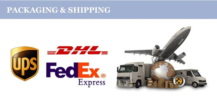 nasal endotracheal tube