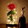 Beauty and The Beast Red Rose That Lasts Forever in a Glass Dome with LED Lights Gift Valentine's Day Wedding Anniversary