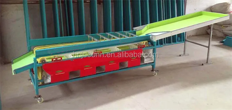 fruit sorting machine05.jpg