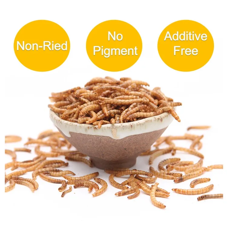 High Protein Dried Mealworms Pet Food Fish Food Animal Feed Buy High
