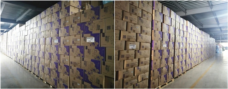 adult diapers for summer