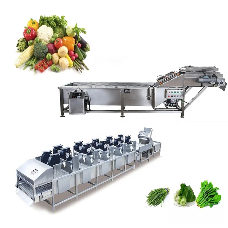 Industrial Complete Fresh Leaf Vegetable Processing Machine Line With