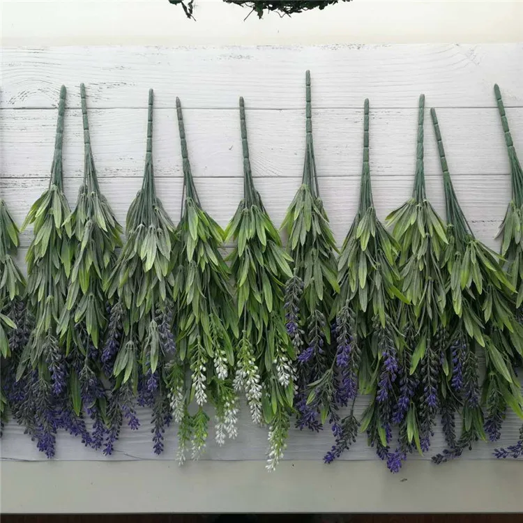 lavender (13).jpg