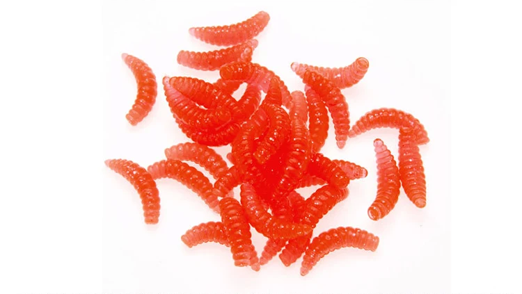 pez con gusanos pez con gusanos