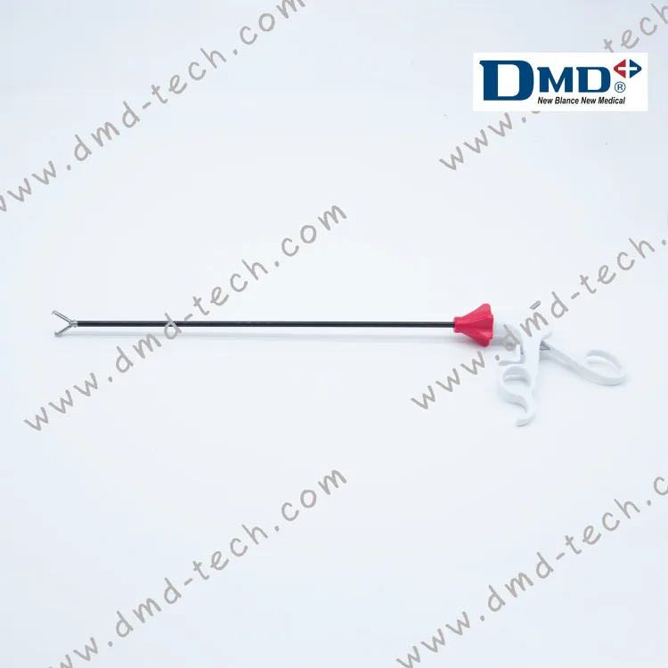 DESI05TGR 03.jpg