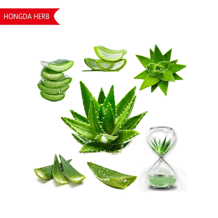 Aloe Vera Gel Powder 3.jpg