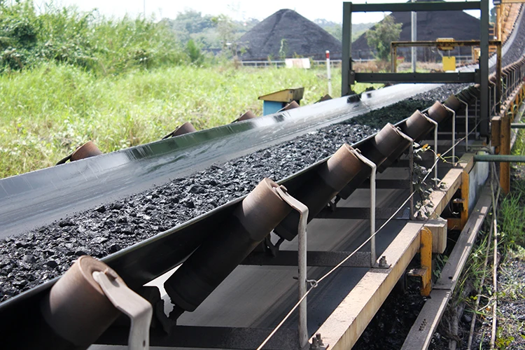 Hdg Carbon Steel OEM Conveyor Belt Side Guide Rollers
