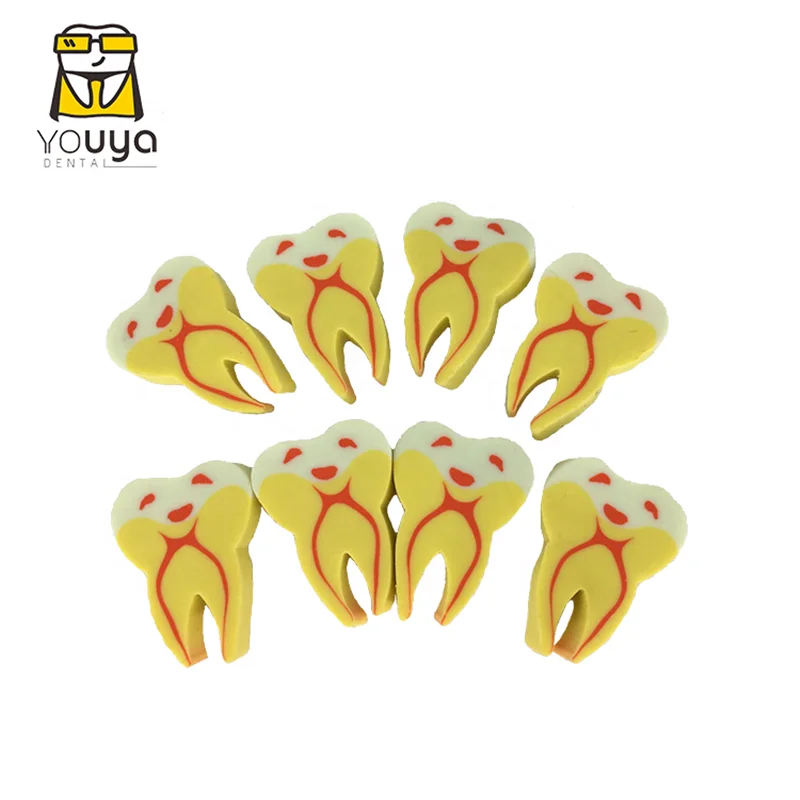 New Fashion Cartoon Tooth Shape Pencil Eraser Buy Tooth Eraser,Tooth Shaped Eraser,Cartoon