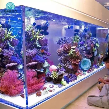 buy aquarium filter
