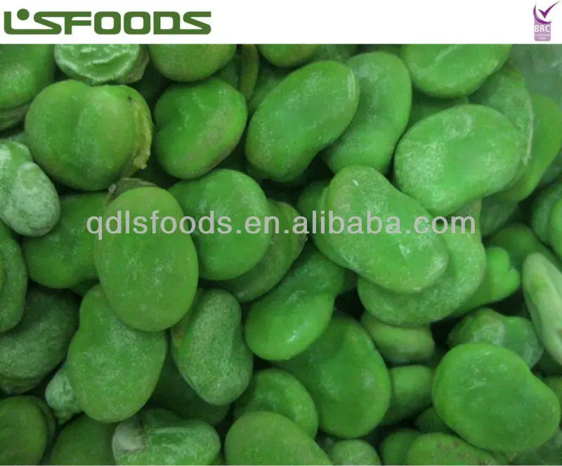 IQF green broad beans 2012crop (3)2