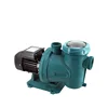 Circulation and Filtration 2hp Smart Plastic Small Swimming Pool Pump
