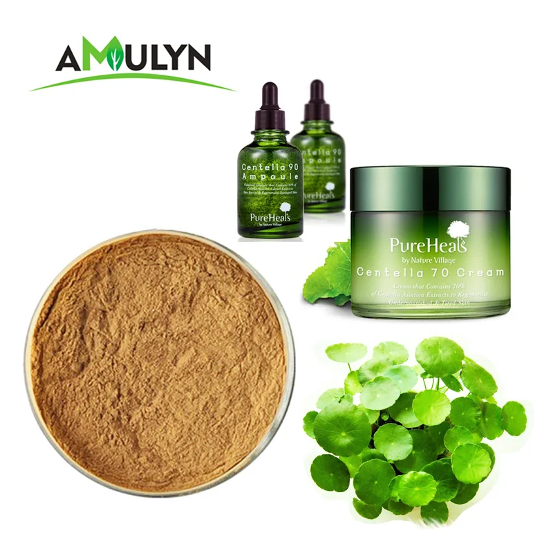 Centella asiatica extract. Экстракт листьев центеллы азиатской. Центелла азиатская Centella Asiatica. Центелла азиатская в косметике. Корейская косметика центелла.