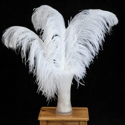
China Feather Factory Hot Selling Cheap Curly Real Ostrich Feather Lamp 