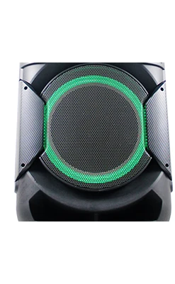 big power double 12 inch BT audio outdoor battery speaker - ANKUX.COM