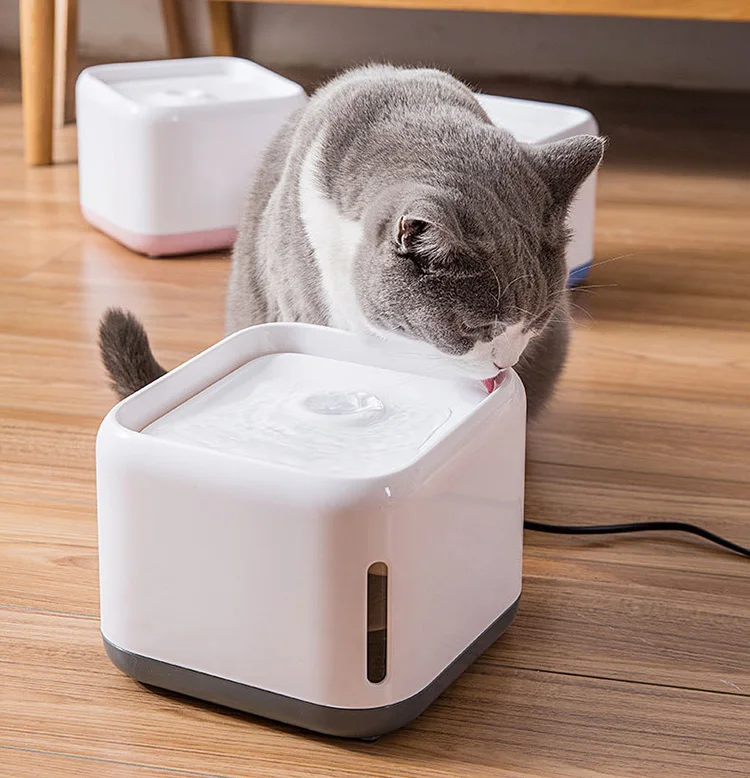 cat drinking fountain.jpg