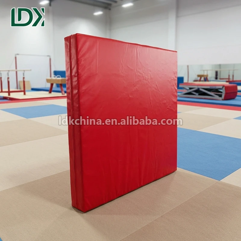 Wholesale Anti-slip Gymnastics Landing Mat Standard School Exercise Safety Crash Padding for Student Sports Programs