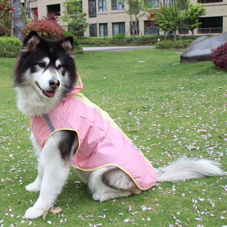 husky raincoat