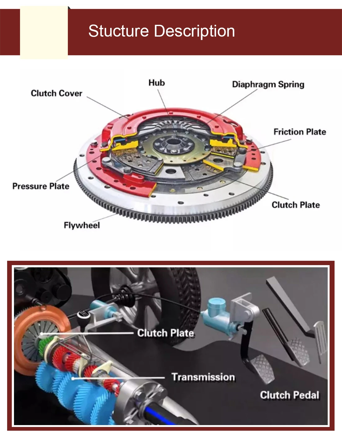 3400 700 451 Terbon Truck Parts Clutch Assembly 430MM Clutch Disc Kits 3482 083 113