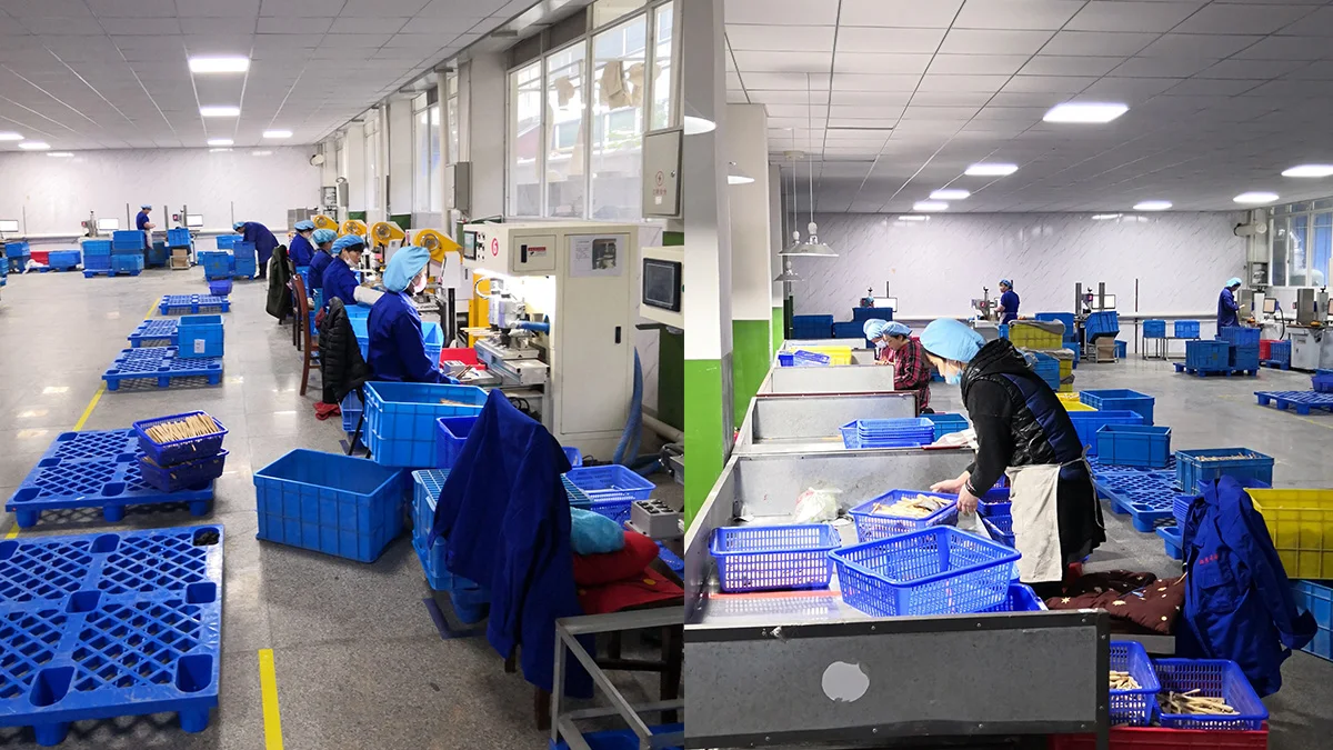 bamboo-workshop-191115 (3)