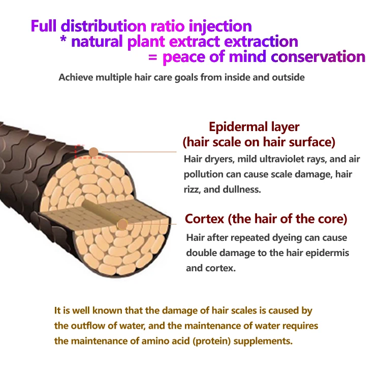 Hot Selling Natural Deep Moisturizing Elastin Hair Conditioner Without