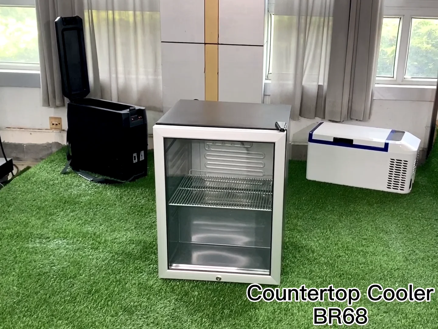 Commercial Cooler Upright Single Door Display Cooler 60l Buy Small