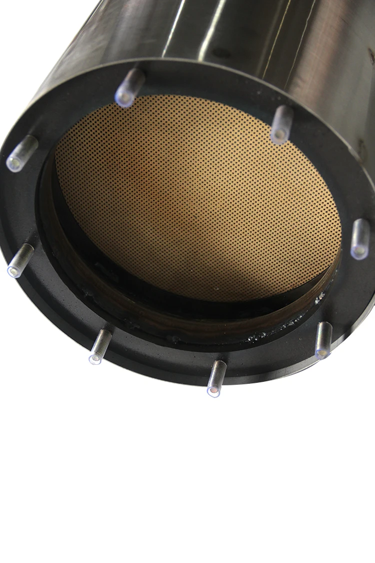 S1850eoa80 Fuel System Filter Dpf Filter Cleaning Diesel Particulate