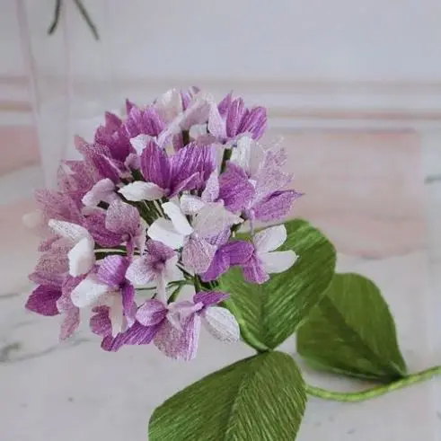 
100% Stretching Disposable Neck Paper Roll for Barber 