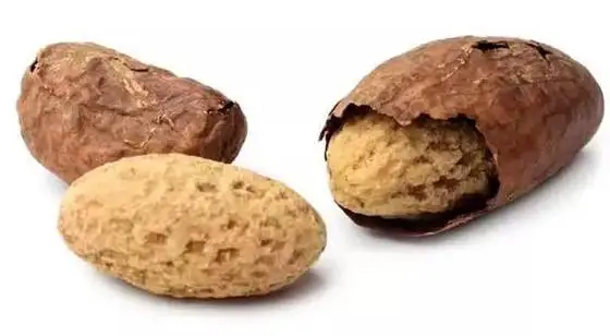 high quality bitter cola nut extract powder cola nut extract