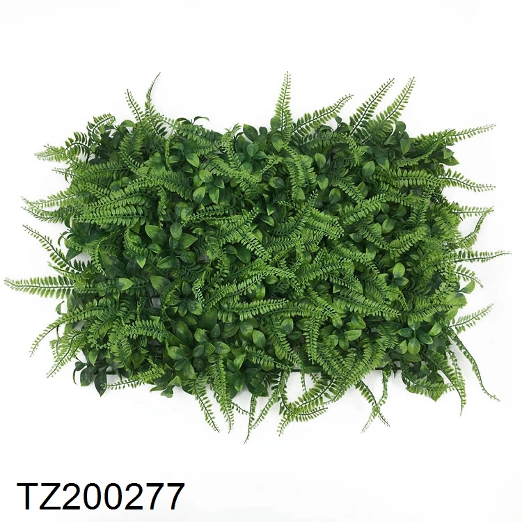 TZ200277.jpg
