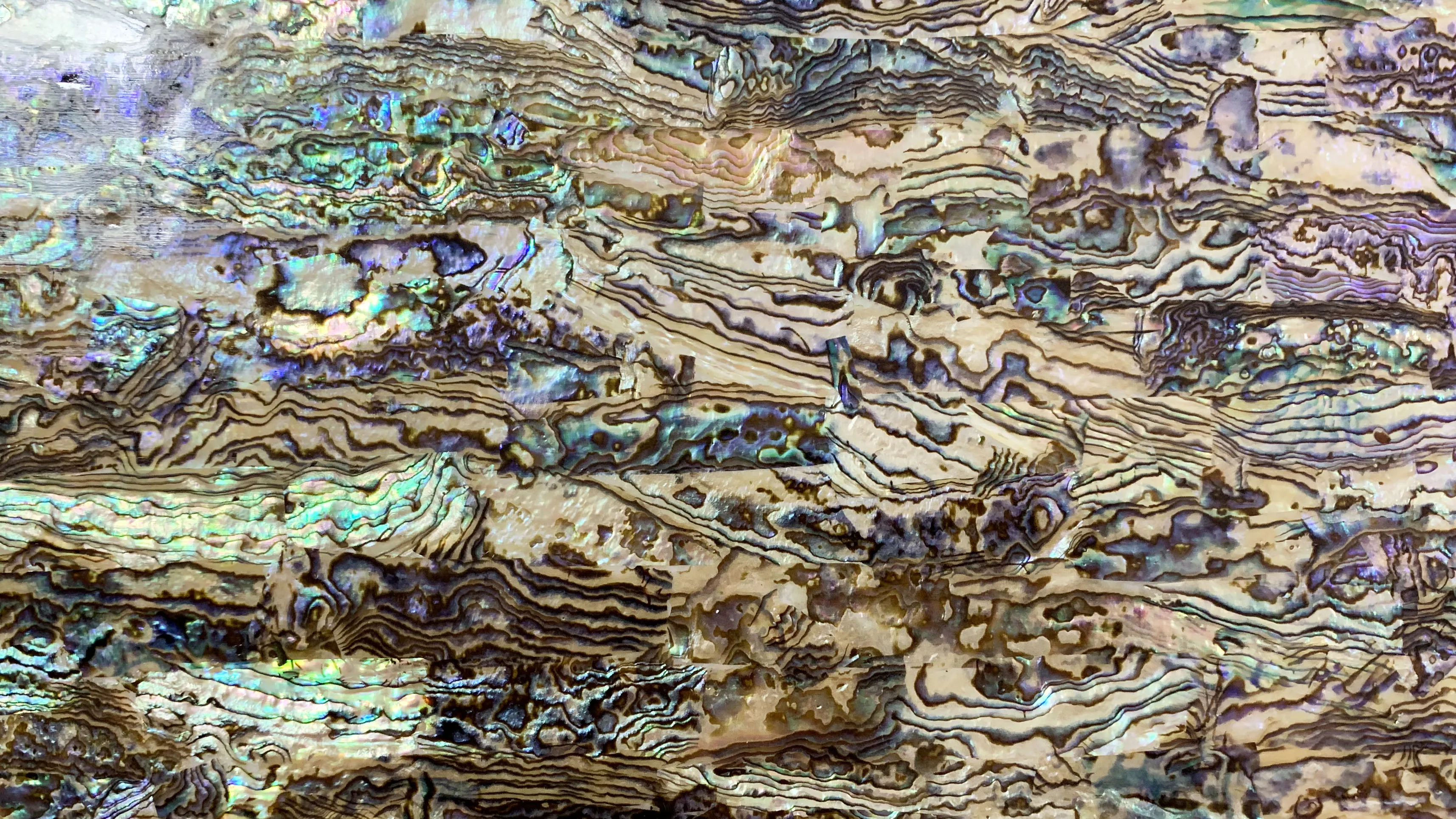 Natural Abalone Shell Sheets - Elegant Mother of Pearl