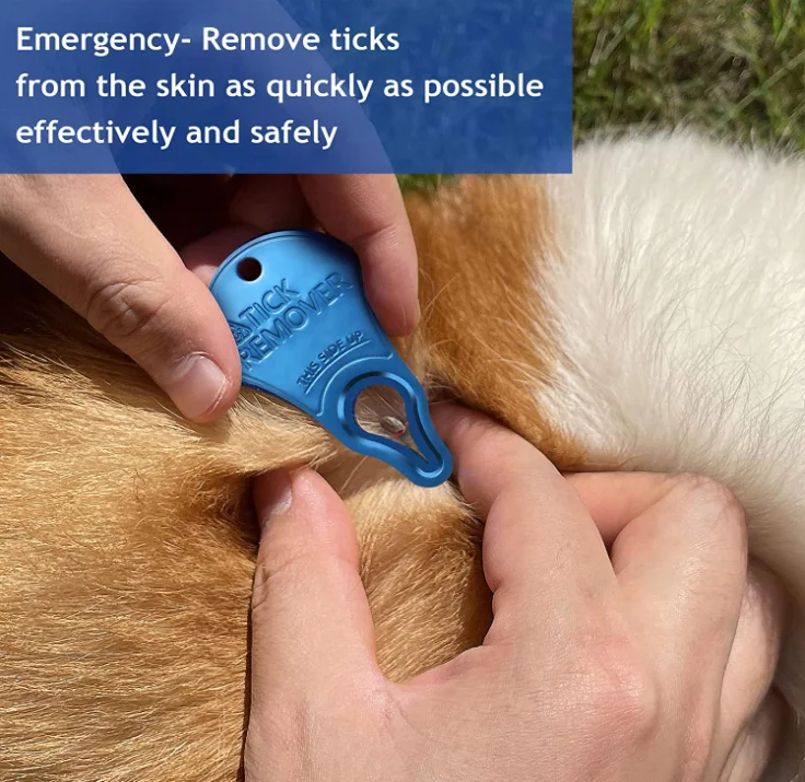 Tick Remover Tool Portable Tick Removal For Pet And Humans Safe And