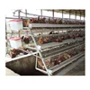 /product-detail/factory-quality-new-design-for-poultry-farm-chicken-layer-battery-cage-for-sale-62284503135.html
