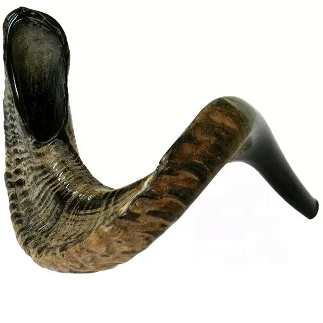 Best Quality Natural Horn Ram Shofar Horn Shofar For Instrumental Ram