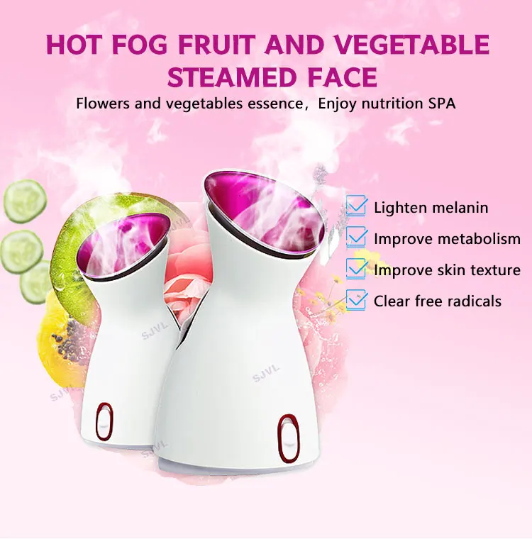 Dual Voltage Fast Heating Nano Facial Steamer To Skin Care Mini Facial