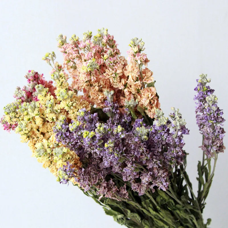 Wholesale Dried Flower Violet Flower As Decoration Buy Decorated