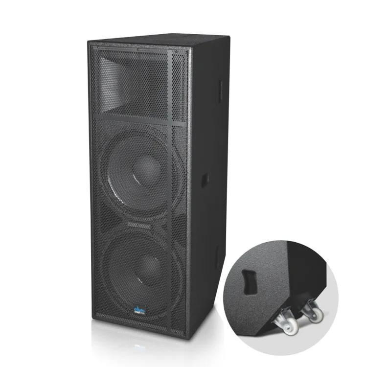 speaker acoustic 15 inch
