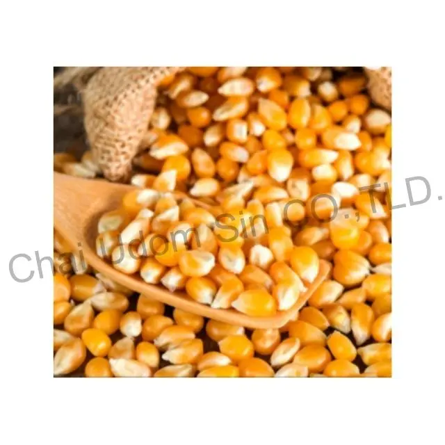 Corn Grits For Feed Buy Corn Grits,Corn Product on
