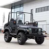 Factory New Design 2 Seats Gas/Electric Mini Willys Buggy