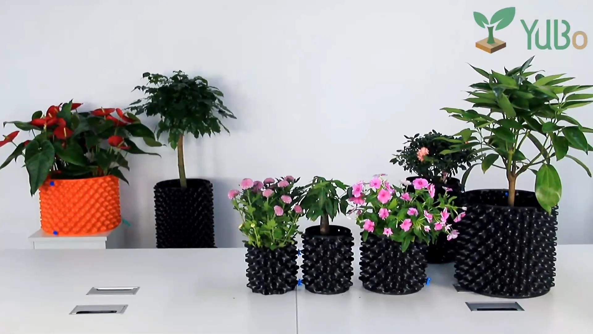 Wholesale Plastic Air Pruning Pot Plant Root Grow Container Buy Air