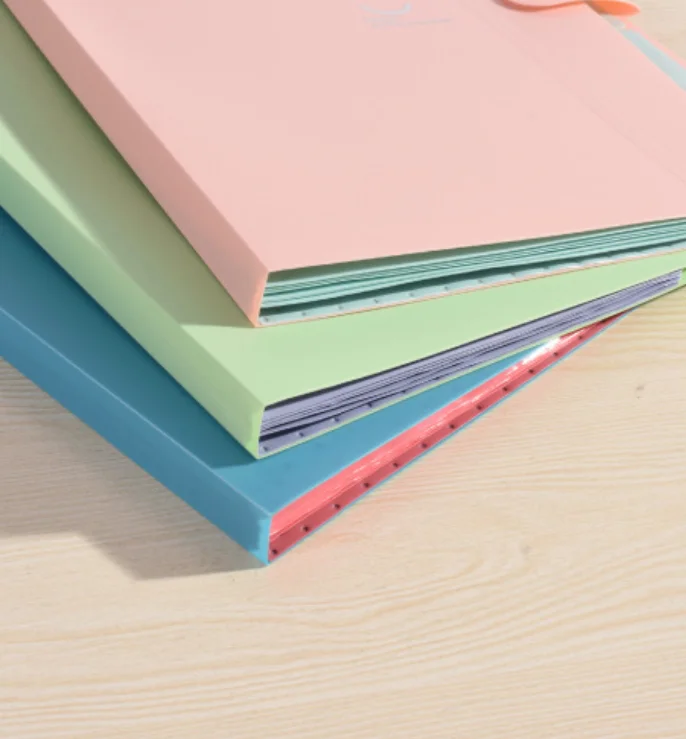 Hot Sale Candy Color A4 Size Pp Plastic Expanding Hard Cover Button