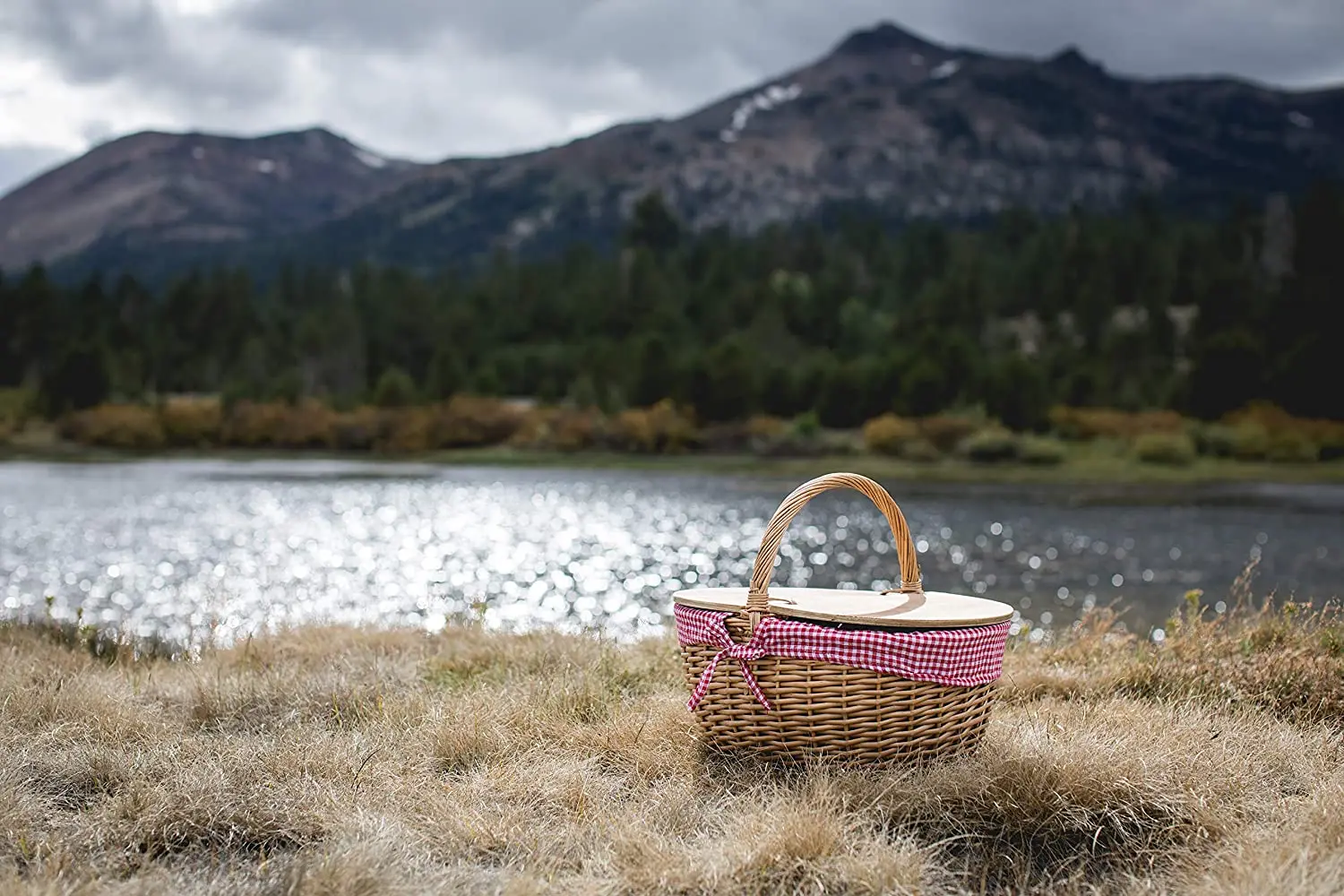 Wicker Picnic Basket