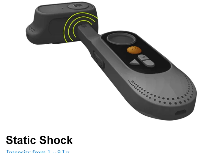 2022 Newest Pairing Dog Training Collar With Voice Command