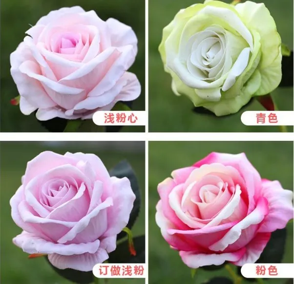 valvet rose-22.JPG