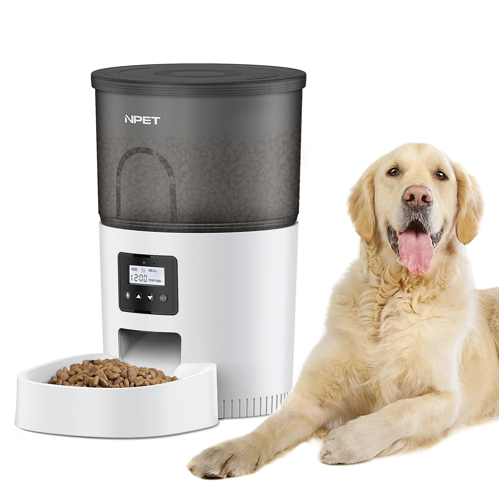 Dog feeder fashion with timer