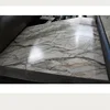 2019 unique beautiful printing vietnam ppgi coil prepainted galvanized steel sheet ppgl