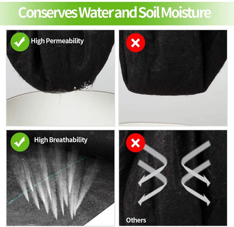 plants control weeds.jpg