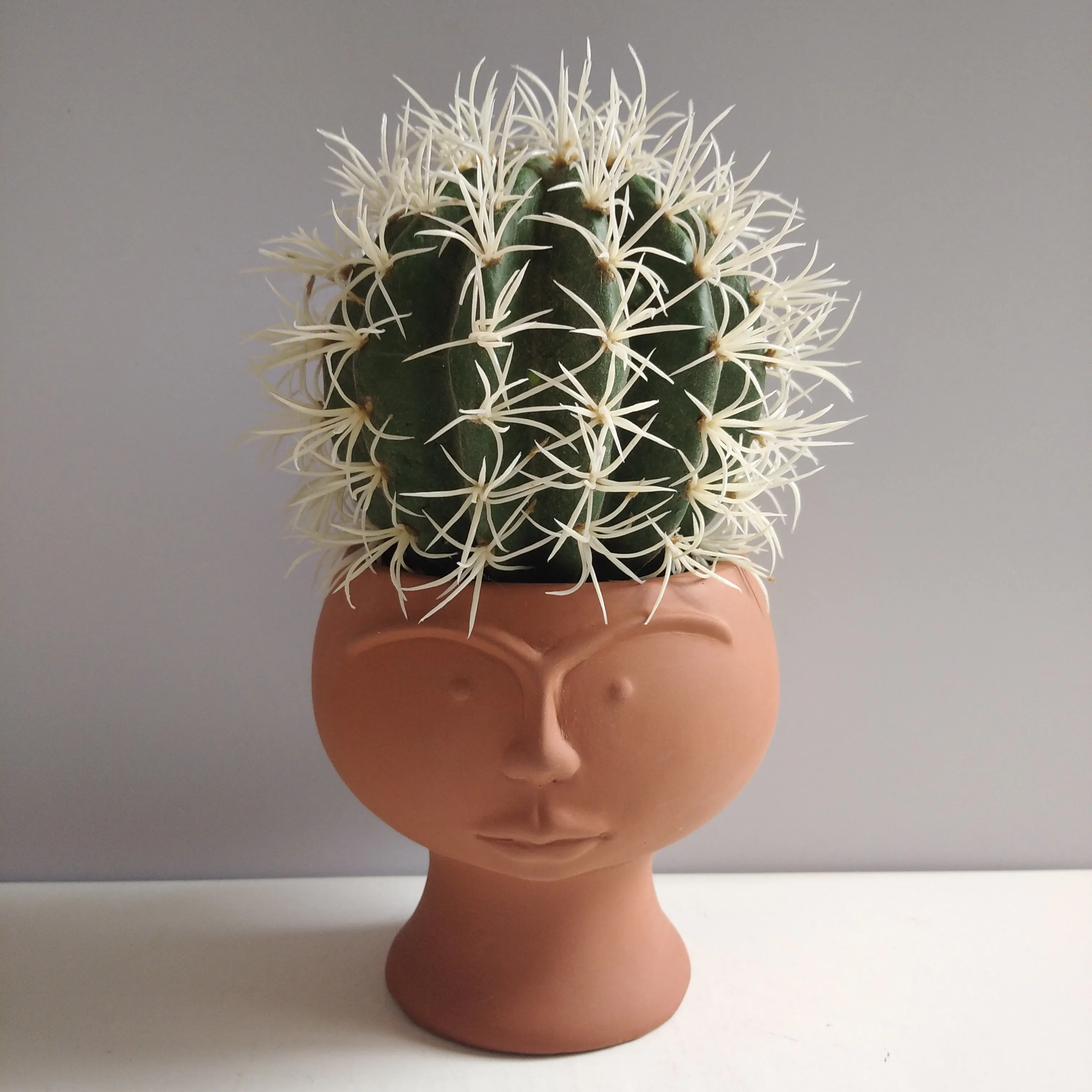 terracotta planter pot, ceramic planter pot, terracotta flower pots, ceramic flower pots,succulent planter pots, terracotta succulent pot, terracotta pots, clay pots