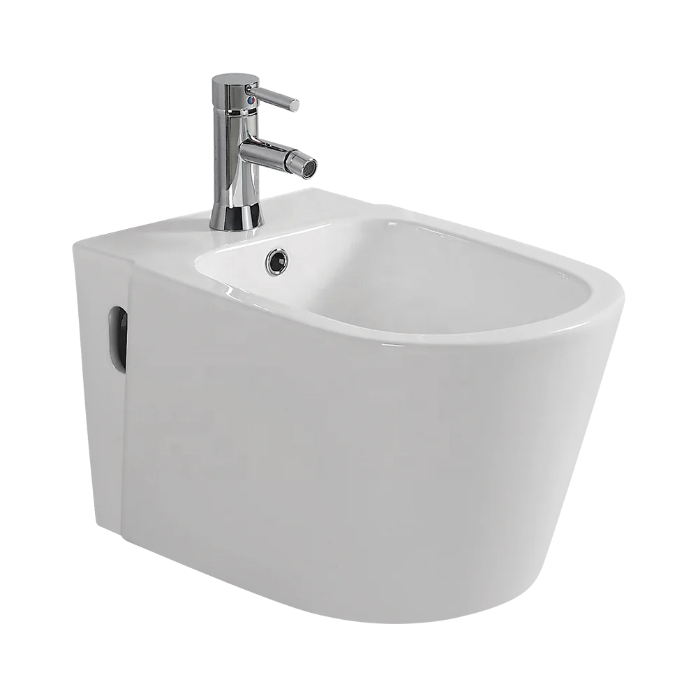 shattaf toilet bidet (1).png
