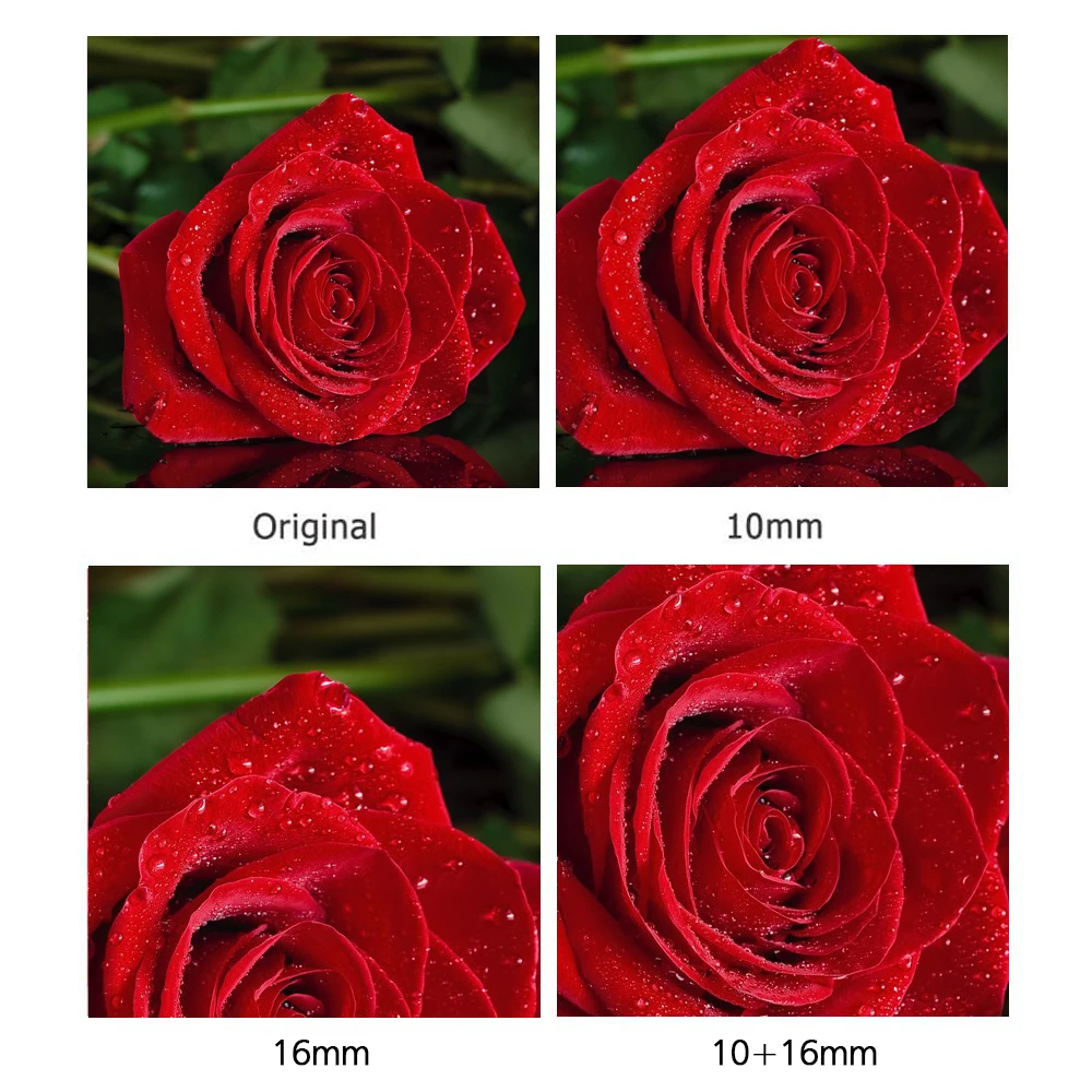 EXT-EOS-M 10 16-6.jpg